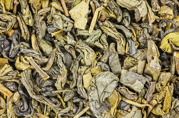 Dried green tea leaves close up background.