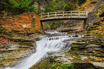 Rustic Bridge Over Stream