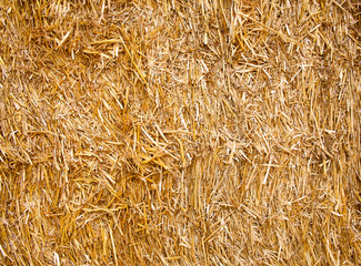 Bale of straw