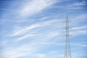 Power line
