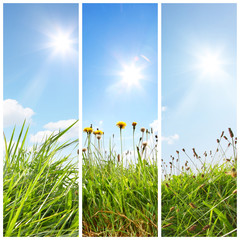 Wiese Banner Hochformat