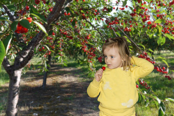 Little girl eating cherry