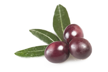Taggiasche olive and leaves on the  white