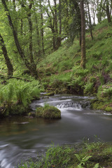 Obraz premium Venford Brook