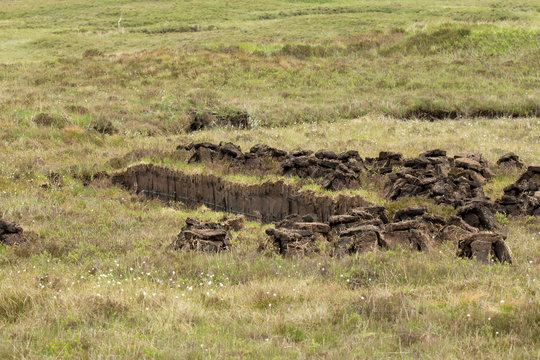 Peat Cutting