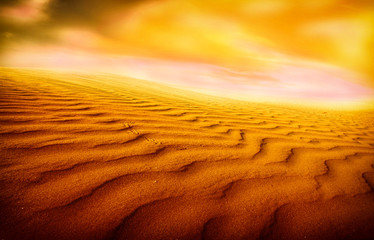 Naklejka na ściany i meble Zachód słońca na Saharze