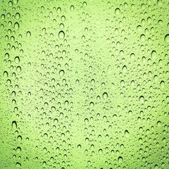 Drops of water on the glass