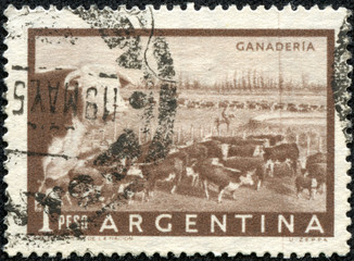stamp printed in Argentina shows beef cattle