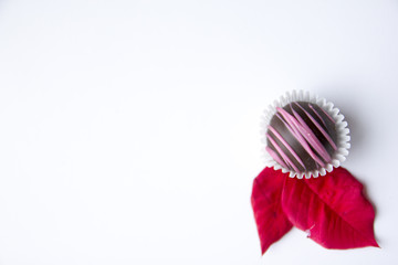 Pink Chocolate and Red Leaf