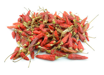 Dried chilli or chilli pepper isolated on white background cutou