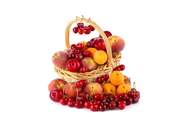 Frutta di stagione