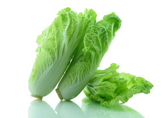 Bok choy (chinese cabbage) isolated on white