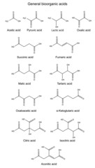 Structural chemical formulas of basic bioorganic acids