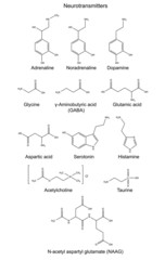 Structural chemical formulas of basic neurotransmitters