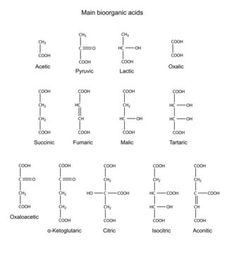 Structural chemical formulas of bioorganic acids