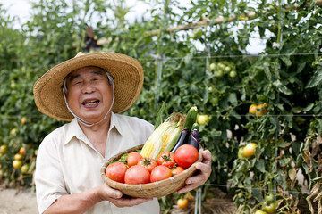 夏野菜の収穫を喜ぶシニア