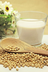 soy milk with beans
