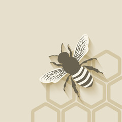 bee honeycomb background