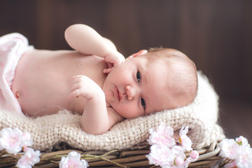 mirada bebe