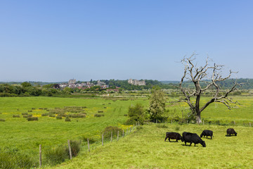 Rural landscape around Arundel, Sussex