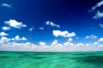 Caribbean sea