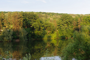 Lake in Forest