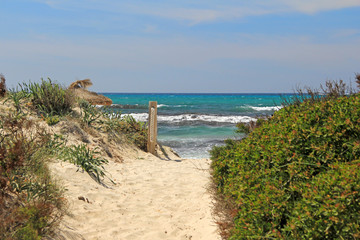 düne ostküste mallorca
