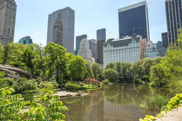 New York City Central Park pond and buildings - obrazy, fototapety, plakaty