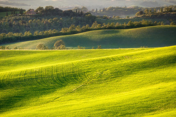 Fototapeta premium Tuscany - Italy