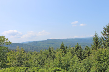 Vosges