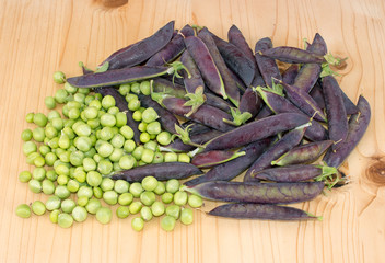Heritage variety purple podded peas