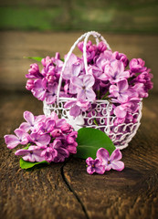 lilac in openwork metal basket
