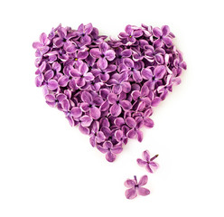 lilac flowers in shape of heart