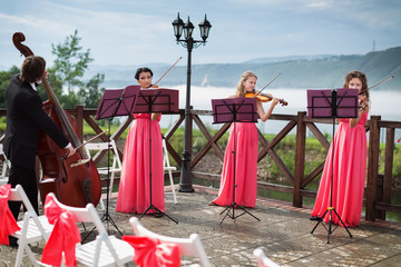 Quartet of classical musicians playing at a wedding