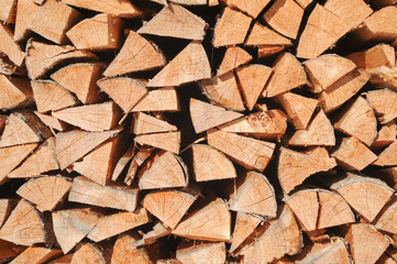 Multitude of wood pieces