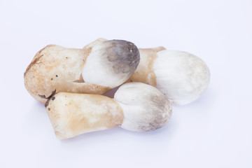 Fototapeta na wymiar Straws Mushroom On White Background