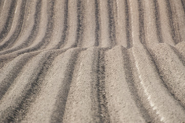 Naklejka premium Furrows in ploughed field