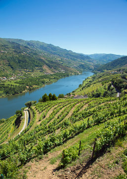 Le Douro (fleuve) dans la r&eacute;gion de Porto au Portugal