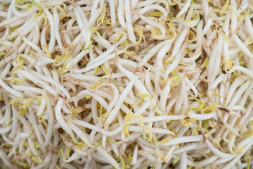 A lot of bean sprouts