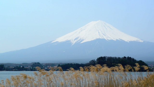 Mt. Fuji rises above Lake Kawaguchi