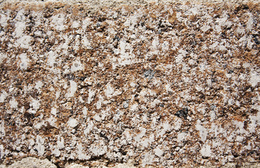brick texture