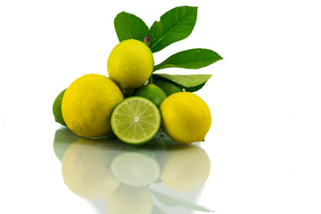 Fresh lemon, lime  slice isolated on a white background