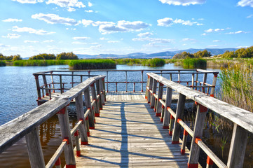 Naklejka premium The Tablas de Daimiel National Park, Climate Change, Guadiana River, ecosystem, Ciudad Real, Spain