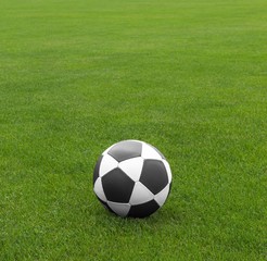 Fußball auf gepflegtem Spielrasen