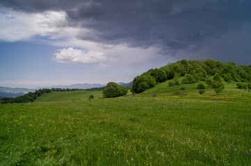 summer landscape after rain