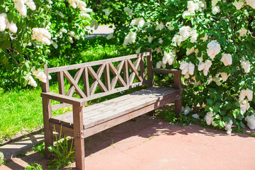 Beautiful beautiful flower lilac garden and wooden bench