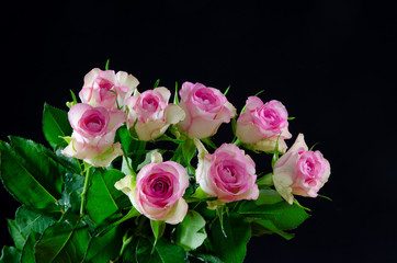 Bouquet of pink roses at black background