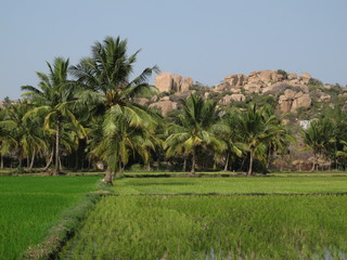 Fototapeta na wymiar Idyllic landscape in Hampi, India