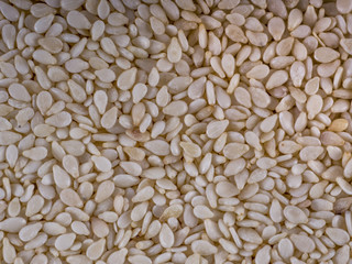 Sesame