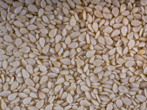 Sesame